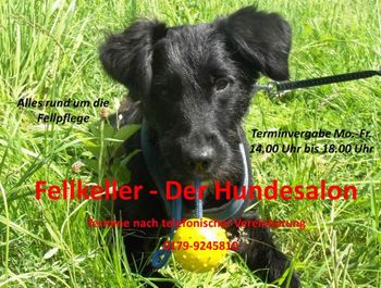 Logo von Fellkeller-Der Hundesalon in Selters im Taunus