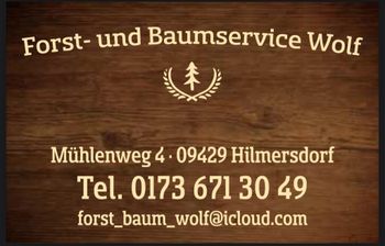 Logo von Forst- Baumservice Wolf in Hilmersdorf