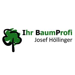 Logo von Ihr Baumprofi Josef Höllinger Baumfällung Baum fällen in Fraunberg