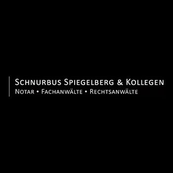 Logo von Schnurbus, Spiegelberg & Kollegen in Menden im Sauerland