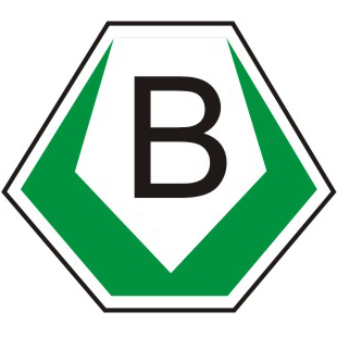 Logo von Autoschilder & Zulassungen Buffalo Pfungstadt in Pfungstadt