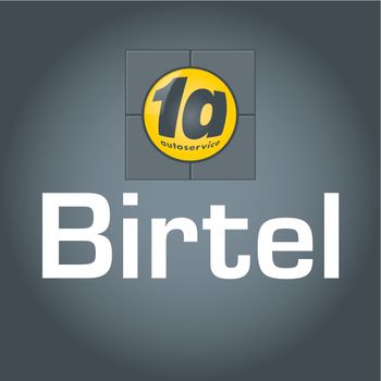 Logo von Auto Birtel in Tholey