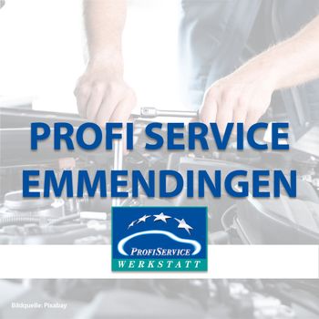 Logo von Profi Service Emmendingen in Emmendingen