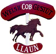 Logo von Welsh Cob Gestüt Llaun - Reiterhof in Kasseedorf