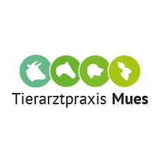 Logo von Tierarztpraxis Dr. Mues in Schmallenberg