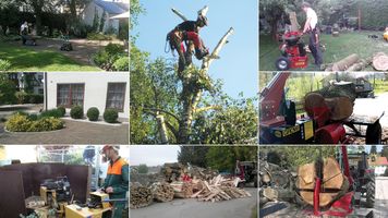 Bild zu Ihr Baumprofi Josef Höllinger Baumfällung Baum fällen