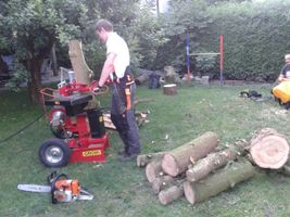 Bild zu Ihr Baumprofi Josef Höllinger Baumfällung Baum fällen
