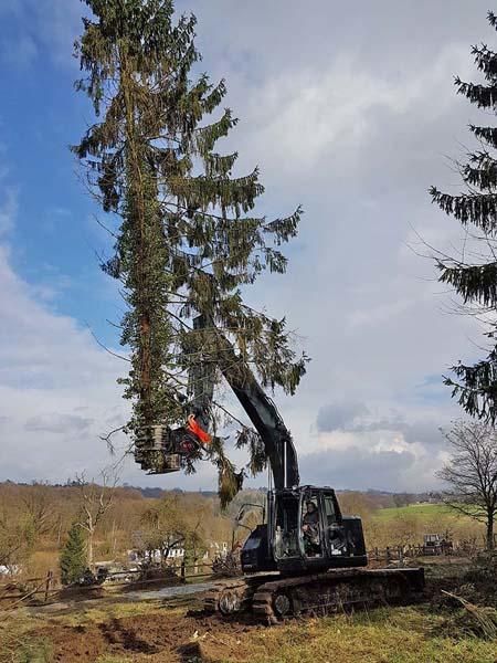 Duwenhorst René Garten-Landschaftsbau-Tiefbau