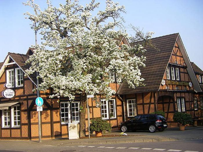 Gasthaus + Hotel Bähre