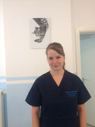 Tierarztpraxis im Komponistenviertel Dr. Anja Peters
