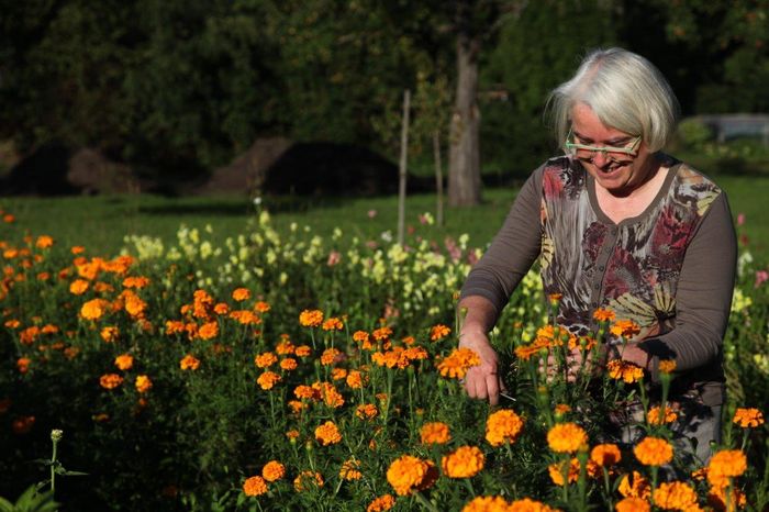 Blumen-Gärtnerei Müller