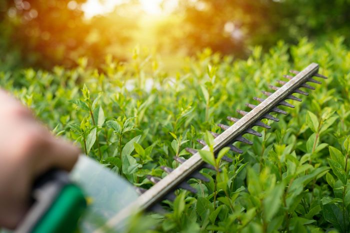 Uwe Grünwald - Landschafts- und Gartengestaltung