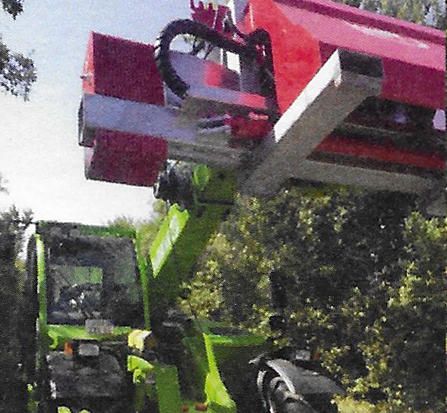 Torsten Marks Garten- und Landschaftsbau