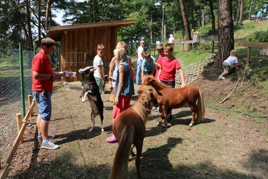 Campingpark Buntspecht