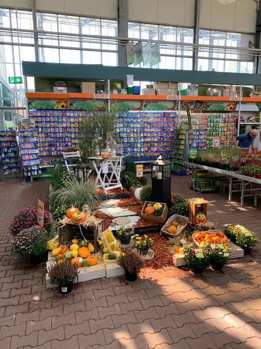 Herbst im OBI Gartencenter