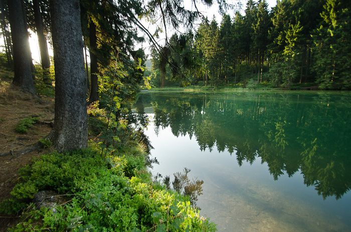 Harz Hotel Waldrausch ***S