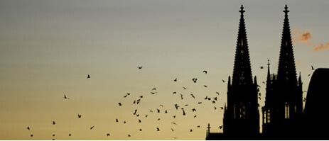 Stadtführungen durch Köln für Kinder, Jugendliche und Erwachsene(fotonia-Fotolia.com)