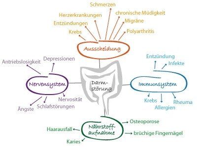 Heilpraktikerin Gabriele Heise Ganzheitliche Heilpraxis