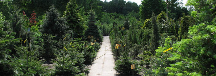 Gehlhaar GartenBaumschule