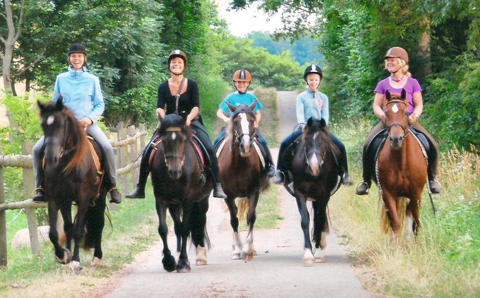 Welsh Cob Gestüt Llaun - Reiterhof