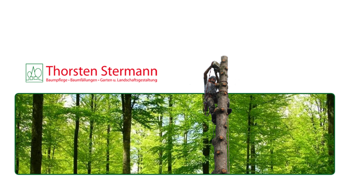 Thorsten Stermann - Fachagrarwirt für Baumpflege