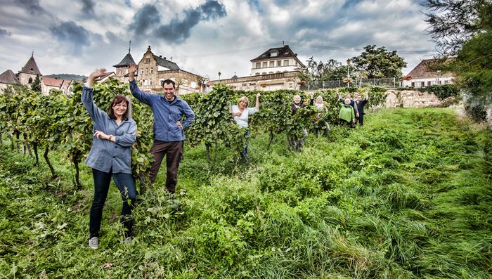 Weingut Erich Ferckel